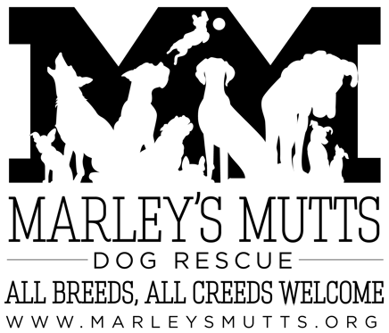 Marleys Mutts